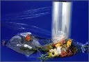 image_1920[1]
